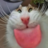 s0ropt