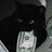 YzCat