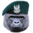 DZking