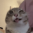 BELKA
