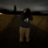 iqsm