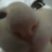 cubeee