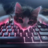 nzex