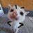 thaichem
