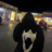sshmoon