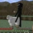 funnyman44