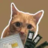 MaxTheDev