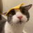 bopery7