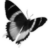 x1vd