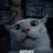 AMIAY_seg
