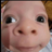 ZaccariaShark