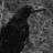 thejudge1488