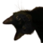 misbrugt
