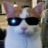 Fankirob