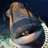 shimidoker