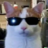 8nixe