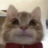 myattacks123