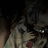 bleed147