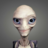 Xorva