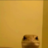 lilskrrrrt