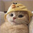 qoft