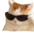 Lxsse