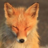 r3dFoXx