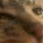 Apey