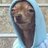 Stonerdog