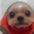 matsdo