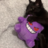 mitza_filehub