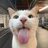 BenceYolo1