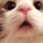 _mlody_9
