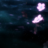 dontlog
