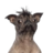 Hiorac
