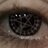 imagine1337x