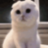 vez1xx