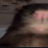 20LeoiX