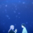 KoeNoKatachi