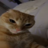 epicdood2365
